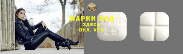 стафф Осинники