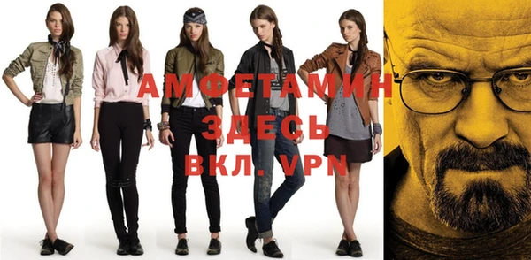 индика Баксан