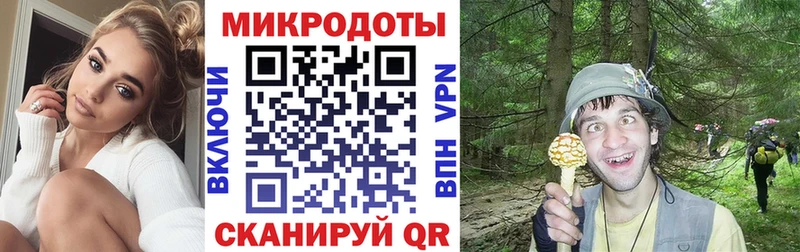 kraken ONION  Камызяк  Галлюциногенные грибы GOLDEN TEACHER  где продают  